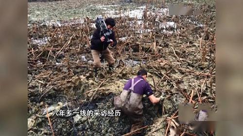 二虎和苏木吃瓜视频全集,笑料百出，全程回顾