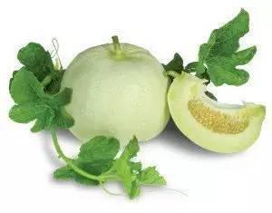 三水吃雪梨瓜的视频