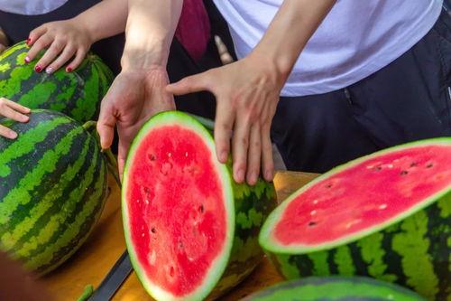 西瓜视频吃瓜入口免费观看,吃瓜入口，免费畅享精彩瞬间