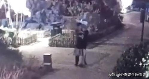 吃真瓜完整视频,视觉盛宴与味蕾挑战