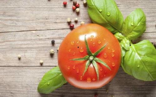 番茄吃瓜搞笑视频,笑料横生，搞笑视频带你欢乐一整天