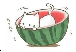 仙女吃瓜球的视频,一场视觉盛宴的甜蜜邂逅