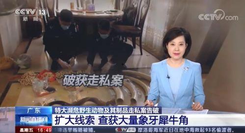 吃喀秋莎酸瓜视频大全在线观看,酸爽滋味，尽享视觉盛宴