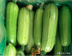 姐姐吃西葫芦瓜视频,西葫芦瓜美食大公开