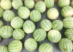 真的吃瓜视频,带你走进网络热点的背后