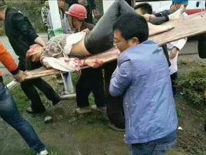 贵州最新吃瓜事件视频曝光,视频曝光引发热议