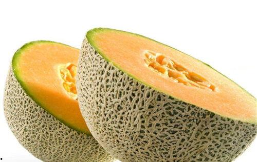 神乐吃哈密瓜视频大全,视频大全回顾