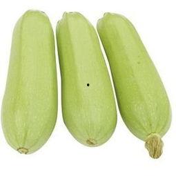 吃蒸角瓜视频是真的吗