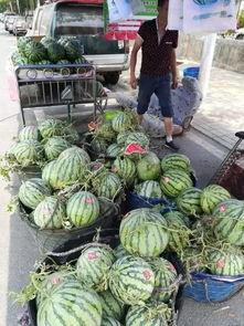 漳州永泰吃瓜事件视频最新,一场引发热议的街头冲突瞬间